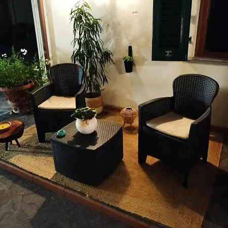 Apartment Loft 21